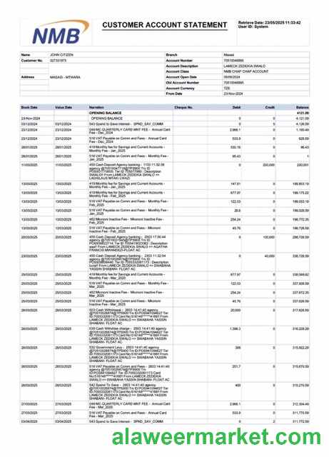 Tanzania NMB Bank account statement Word and PDF template